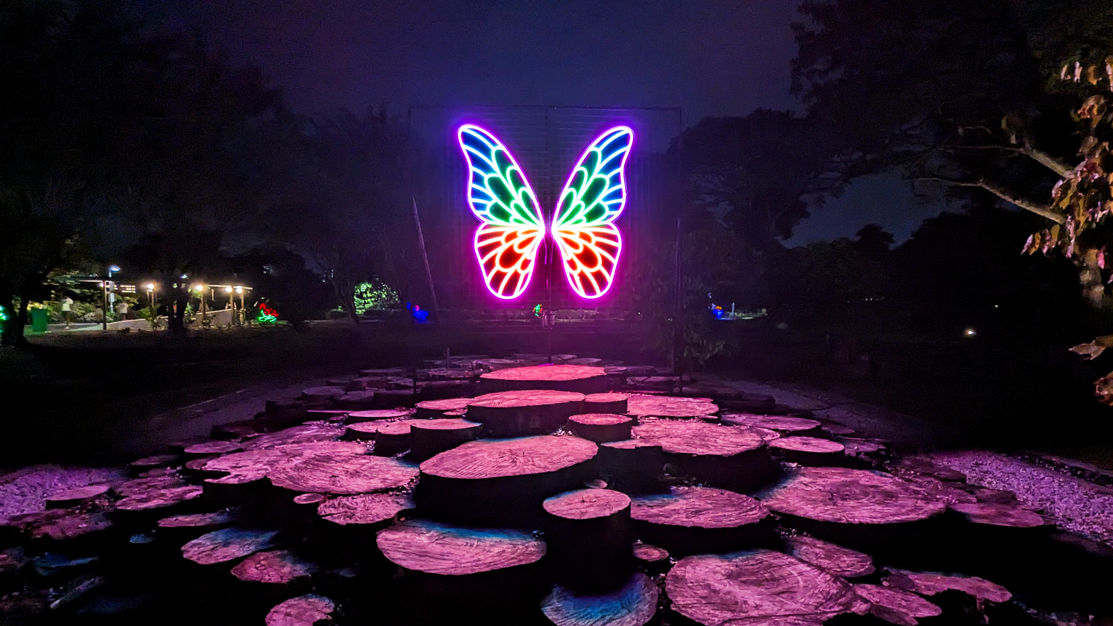 Wings of Wonder - Butterfly